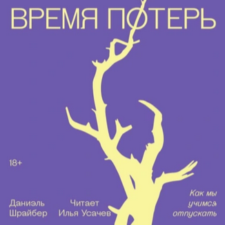 Время потерь. Как мы учимся отпускать. Аудиокнига (Даниэль Шрайбер)