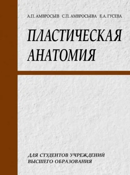 Пластическая анатомия (Елизавета Гусева, Софья Амвросьева)