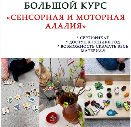 Обложка курса «[k_logopedy] Сенсорная и моторная алалия (Ангелина Сыщенко)»