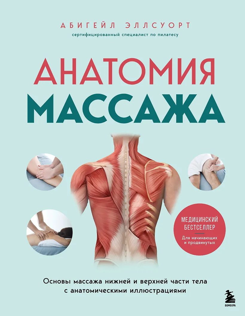 Анатомия массажа. Основы массажа нижней и верхней части тела с анатомическими иллюстрациями (Абигейл Эллсуорт)