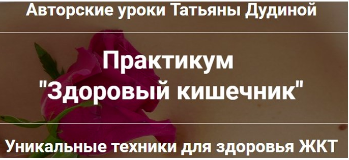 Здоровый кишечник (Татьяна Дудина)