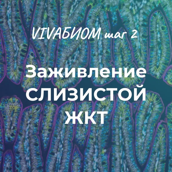 Vivabiom шаг 2 Заживление слизистой ЖКТ (Анна Кортунова)