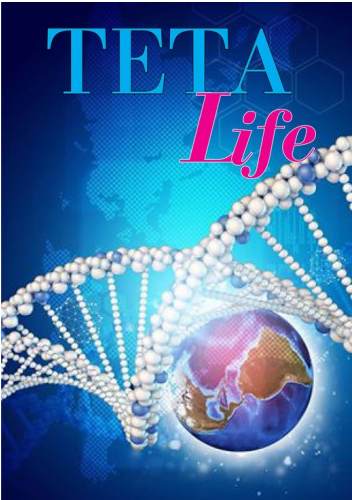 Обложка курса «[Teat-Life] Стройность, часть 3: душа и тело (Екатерина Светлицкая)»