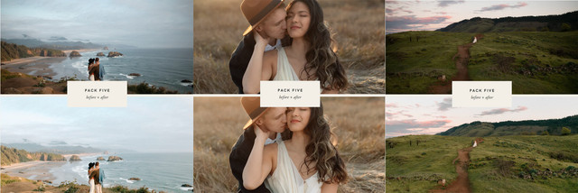 Нежные свадебные пресеты. Presets Pack Five (Dawn Charles)
