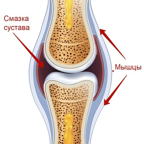 Легко ходим, быстро встаем (Александра Бонина)