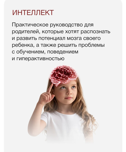 Интеллект (Меседу Булач)
