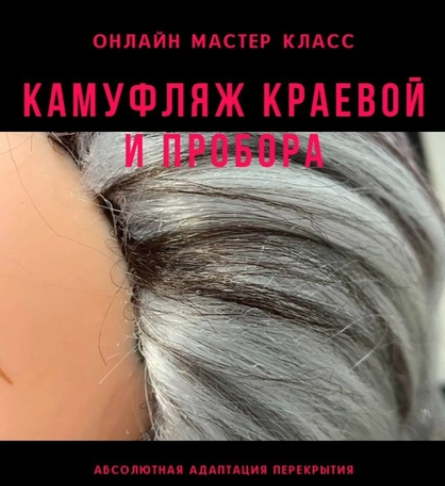 Камуфляж краевой и пробора (Дина Панормова)