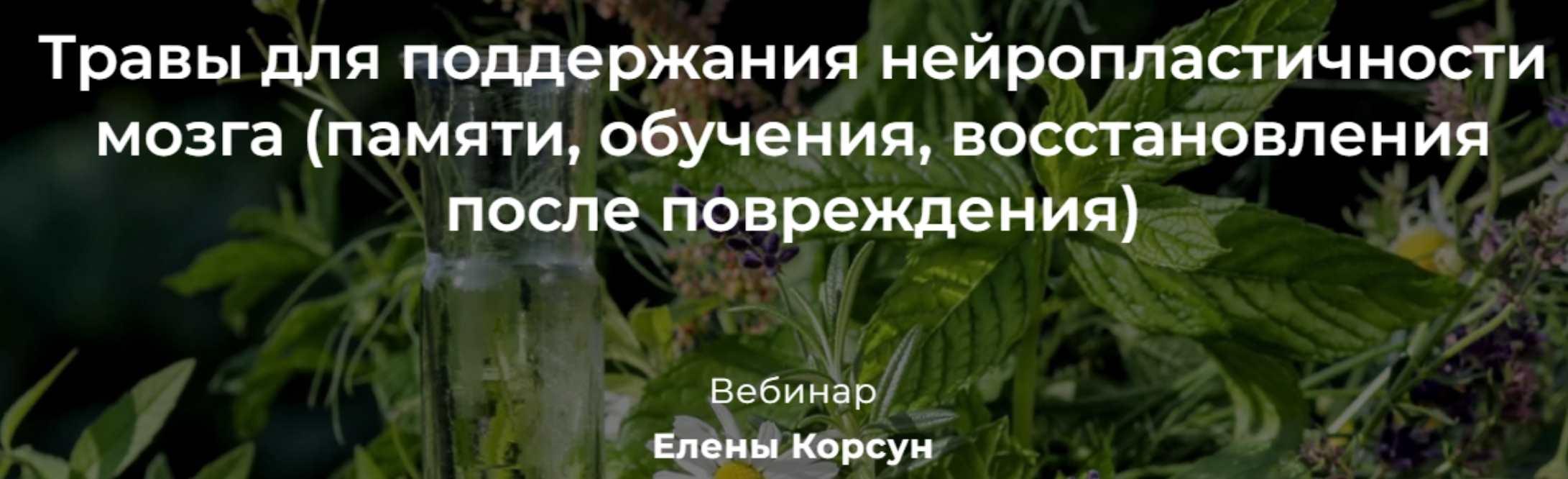 Обложка курса «Травы для поддержания нейропластичности мозга (Елена Корсун)»
