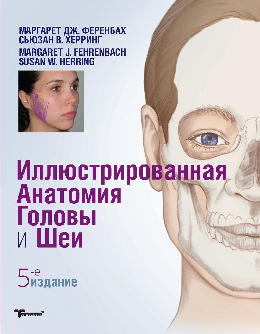 Иллюстрированная анатомия головы и шеи. 5-е издание (Susan Herring, Margaret Fehrenbach)