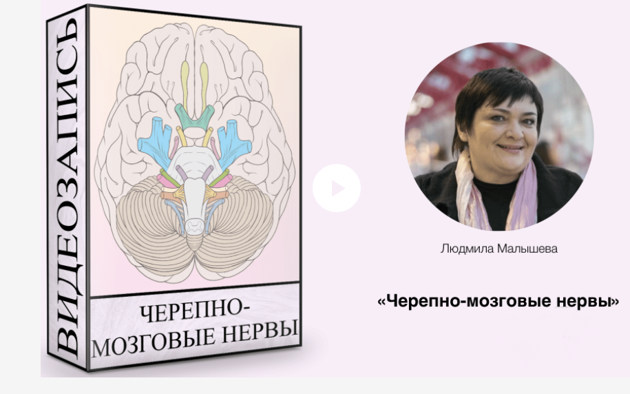 Обложка курса «Черепно-мозговые нервы (Людмила Малышева)»