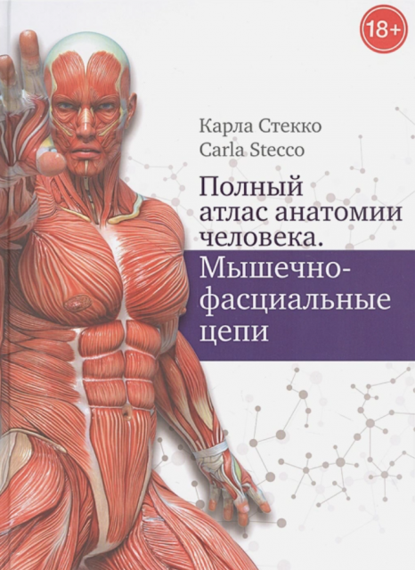 Полный атлас анатомии человека. Мышечно-фасциальные цепи (Карла Стекко)