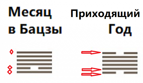 Прогнозы на 2026 год по Ци Мень, фэн-шуй и гексаграммам И-Цзин (Ольга Фандорина)