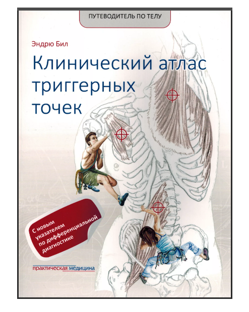 Путеводитель по телу. Клинический атлас триггерных точек (Эндрю Бил)