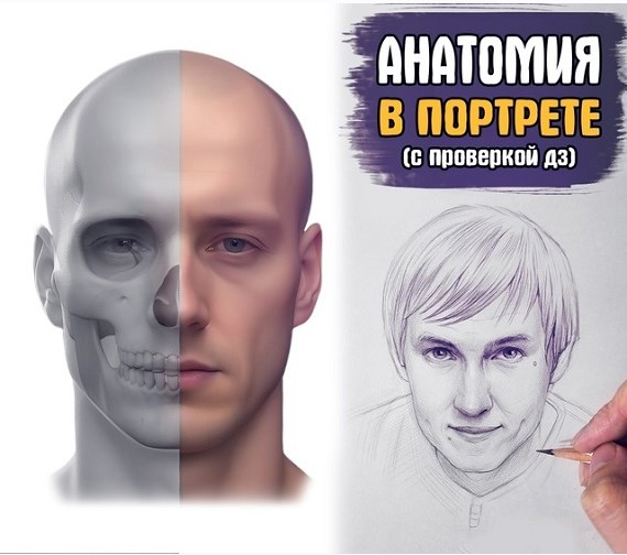 Анатомия в портрете. Базис (Андрей Марков)