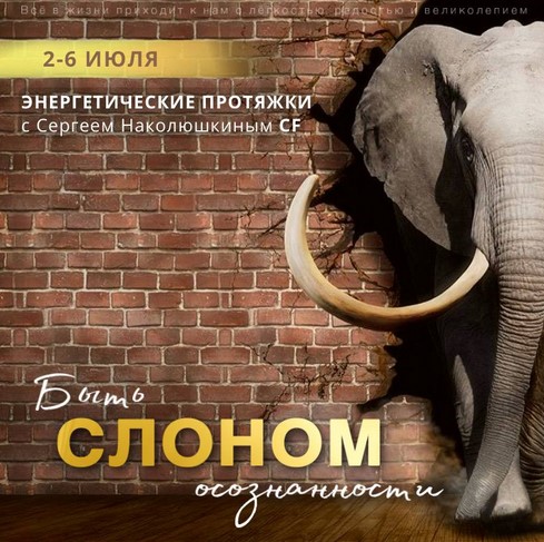 Обложка курса «[Access] Энергетические протяжки «Быть слоном осознанности» (Сергей Наколюшкин)»