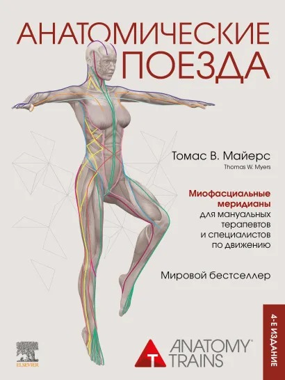 Обложка курса «Анатомические поезда. Четвёртое издание (Томас Майерс)»