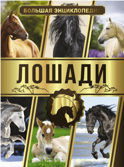 Обложка курса «Большая энциклопедия. Лошади (Анна Спектор)»