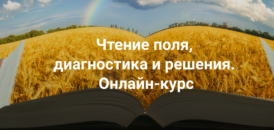 Обложка курса «Чтение поля,  диагностика и решения .Тариф Апгрейд до пакета "Полный" (Елена Веселаго)»