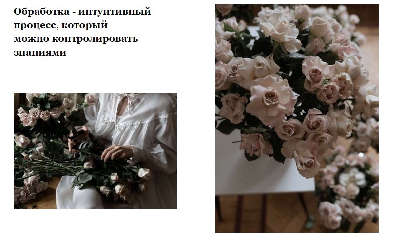 Обложка курса «Цвет в фотографии. Урок, который. поможет найти свой цвет (Александра Бухарева)»