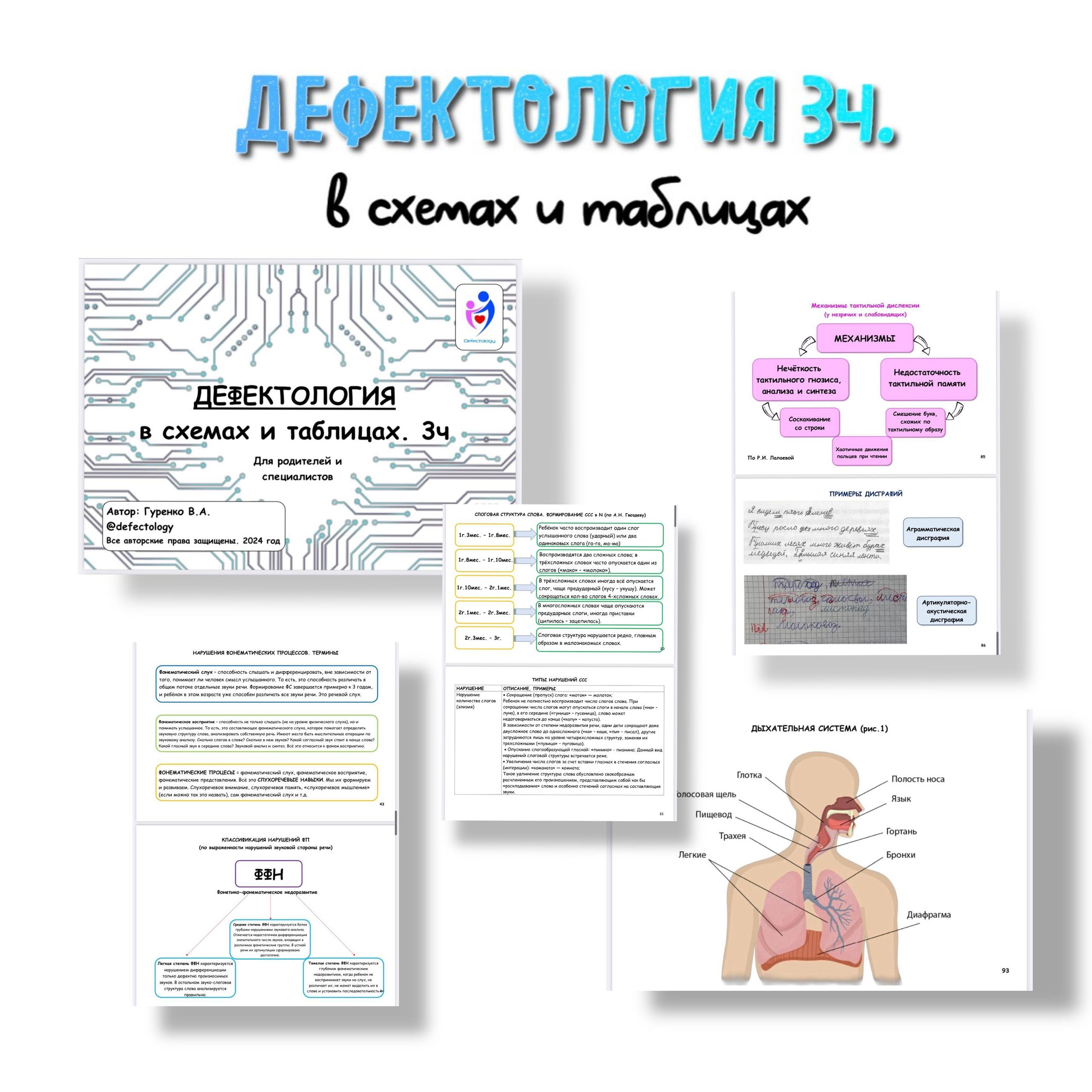 Обложка курса «Дефектология в схемах и таблицах 3 часть (Виктория Гуренко)»