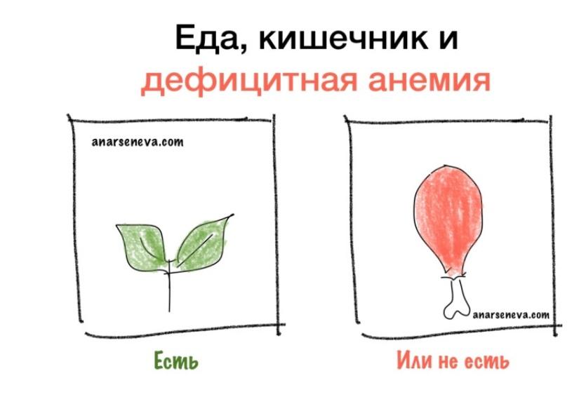 Обложка курса «Еда, кишечник и дефицитная анемия (Анастасия Арсенева)»