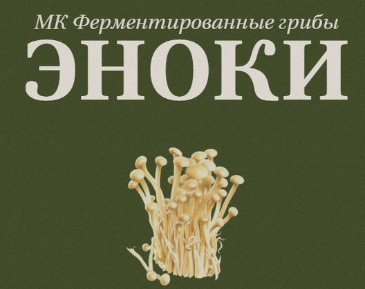 Обложка курса «[fermentinwonderland.ru] Ферментированные грибы Эноки (Мария Сочилкина)»