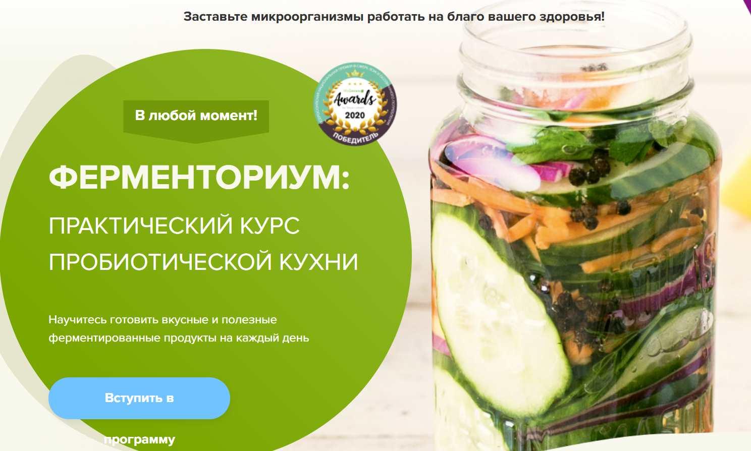 Ферменториум. Алкогольные коктейли из ферментированных продуктов (Юлия Мальцева)