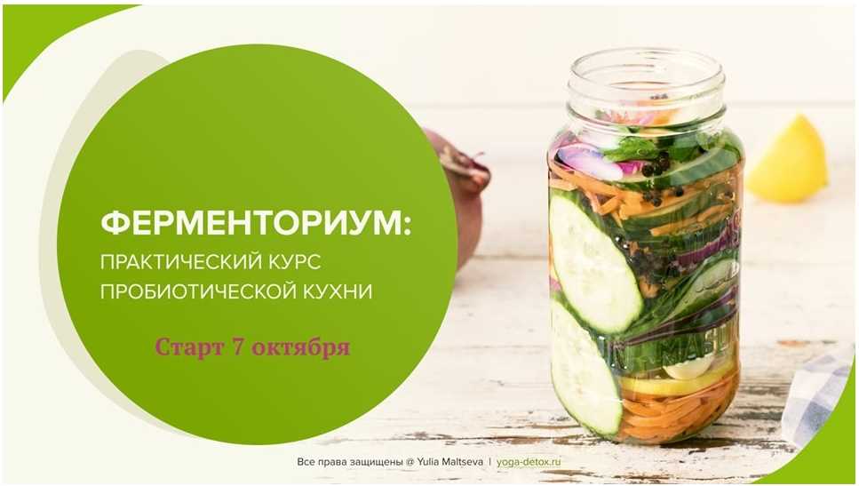 Обложка курса «Ферменториум: практический курс пробиотической кухни (Юлия Мальцева)»