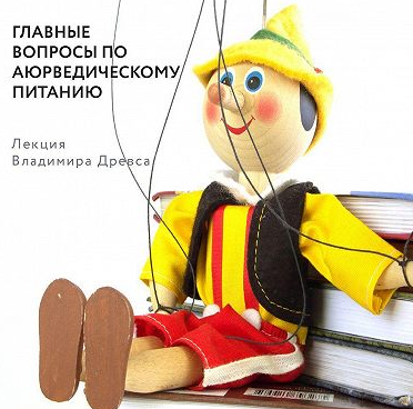 Главные вопросы по аюрведическому питанию. Аудиокнига (Владимир Древс)