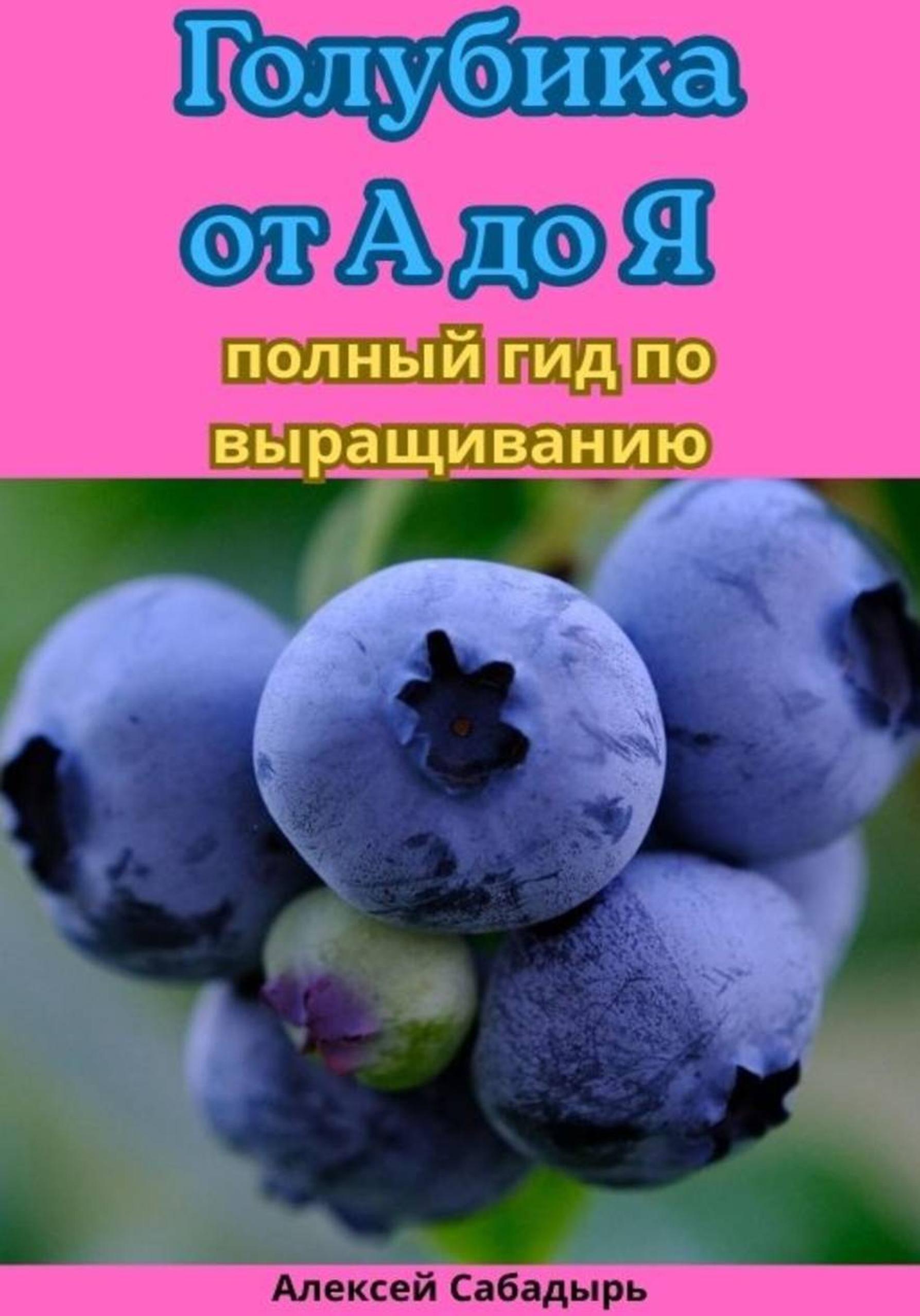Обложка курса «Голубика от А до Я. Полный гид по выращиванию (Алексей Сабадырь)»