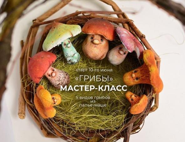 Обложка курса «Грибы (Марина Малько)»