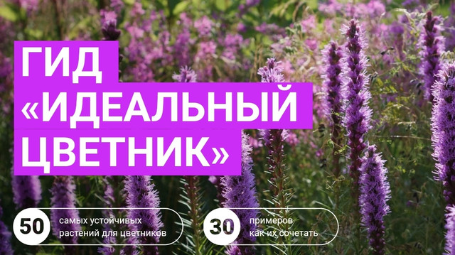 Обложка курса «Идеальный цветник (Марина Берестова)»