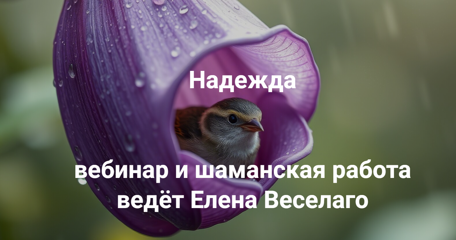 Обложка курса «[Институт Открытого поля] Надежда (Елена Веселаго)»