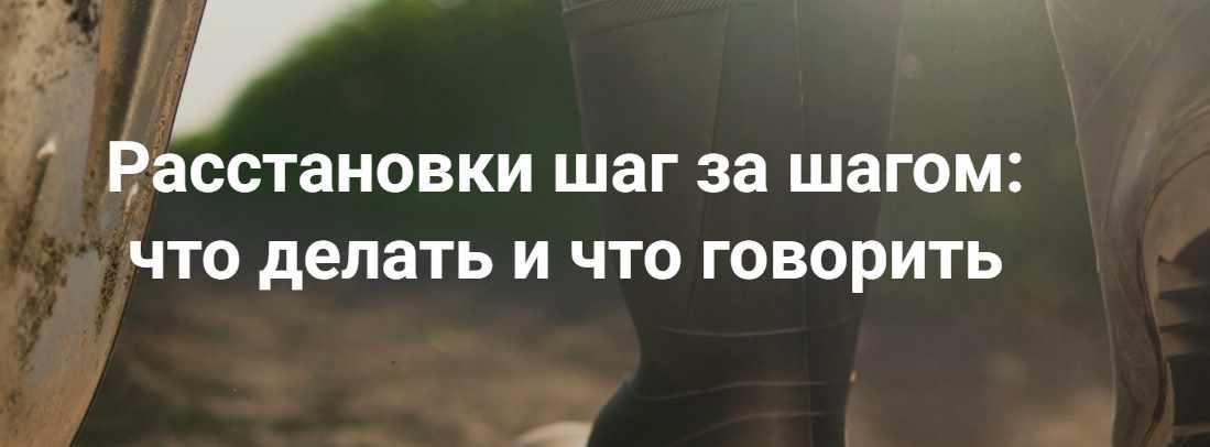 Обложка курса «[Институт открытого поля]  Расстановки шаг за шагом: что делать и что говорить. Без места расстановщика (Елена Веселаго)»