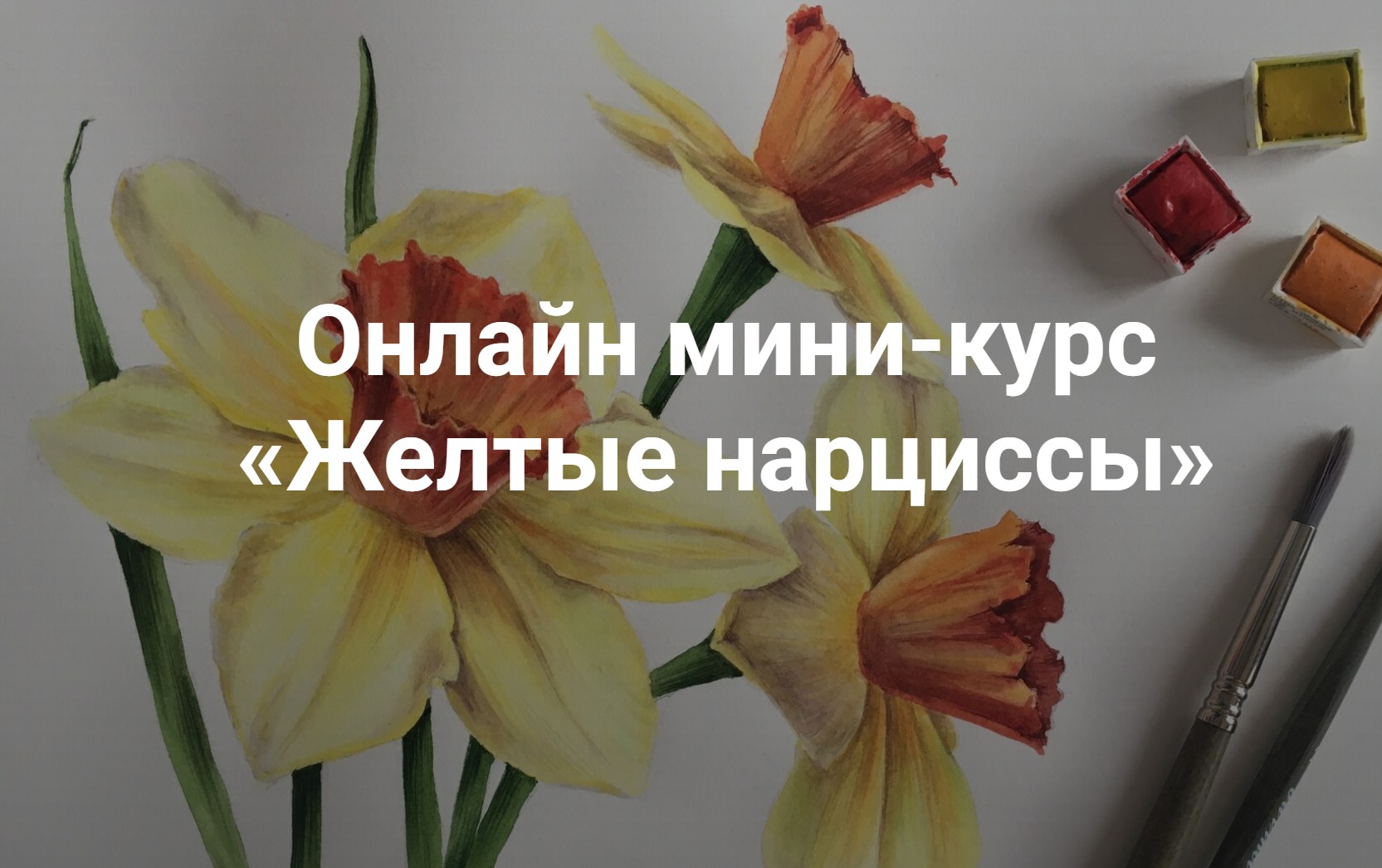 Обложка курса «[KalachevaSchool] Желтые нарциссы (Ксения Галицкая)»