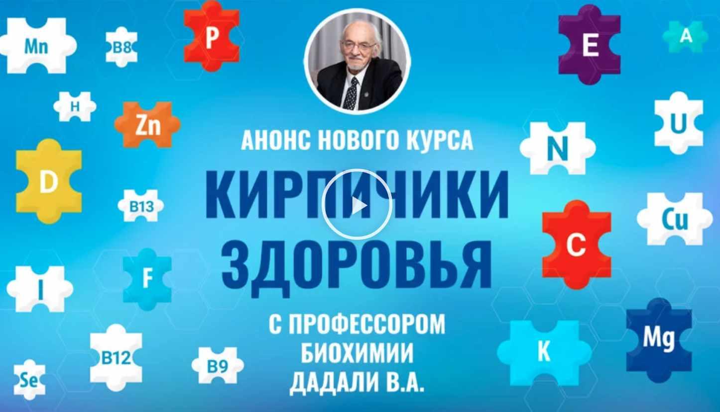 Обложка курса «Кирпичики здоровья (Владимир Дадали)»