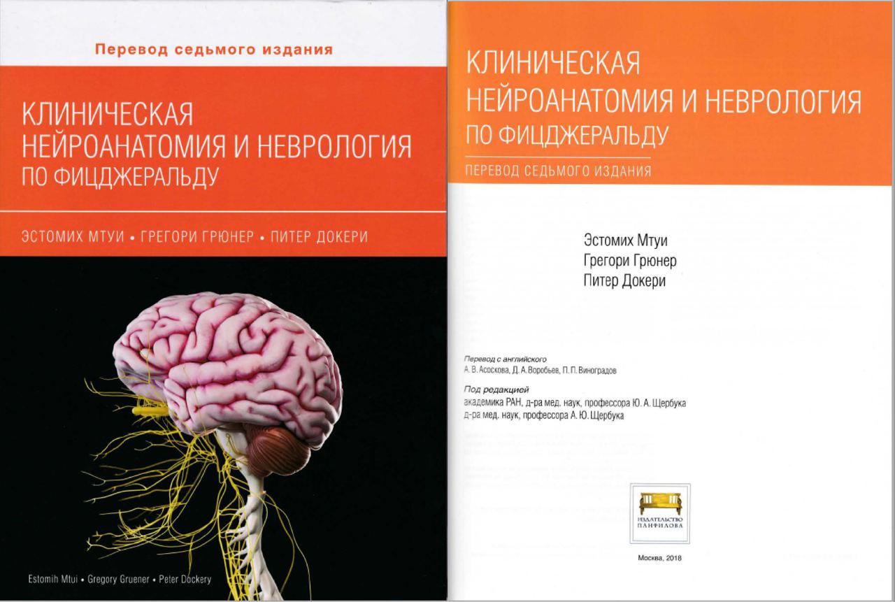 Клиническая нейроанатомия и неврология по Фицджеральду (Эстомих Мтуи, Грегори Грюнер, Питер Докери)