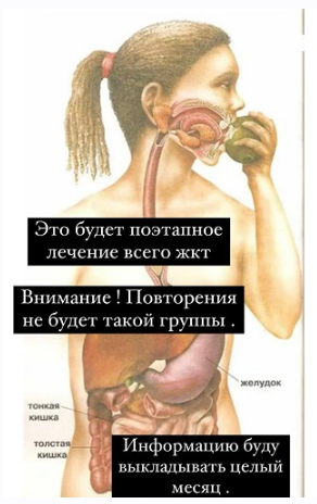 Лечим ЖКТ (Яна Степанова)