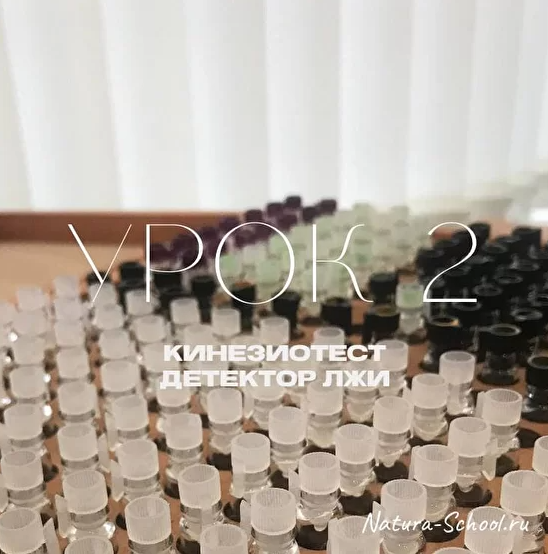 Обложка курса «[Natura-School] Урок 2 "Кинезиотест - детектор лжи" (Олег Гитбиндер)»