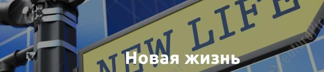 Обложка курса «Новая жизнь (Лилия Король)»