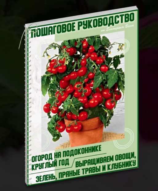 Обложка курса «Огород на подоконнике круглый год. Выращиваем овощи, зелень, пряные травы и клубнику. Премиум-комплект (Екатерина Весна)»