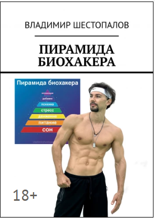 Пирамида биохакера (Владимир Шестопалов)