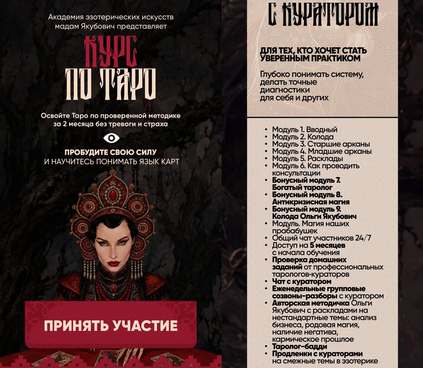 Обложка курса «Курс по таро. Тариф С куратором (Ольга Якубович)»