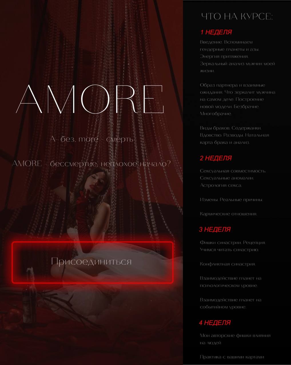 Обложка курса «Amore (Наталия Брижатюк, winger_angel)»