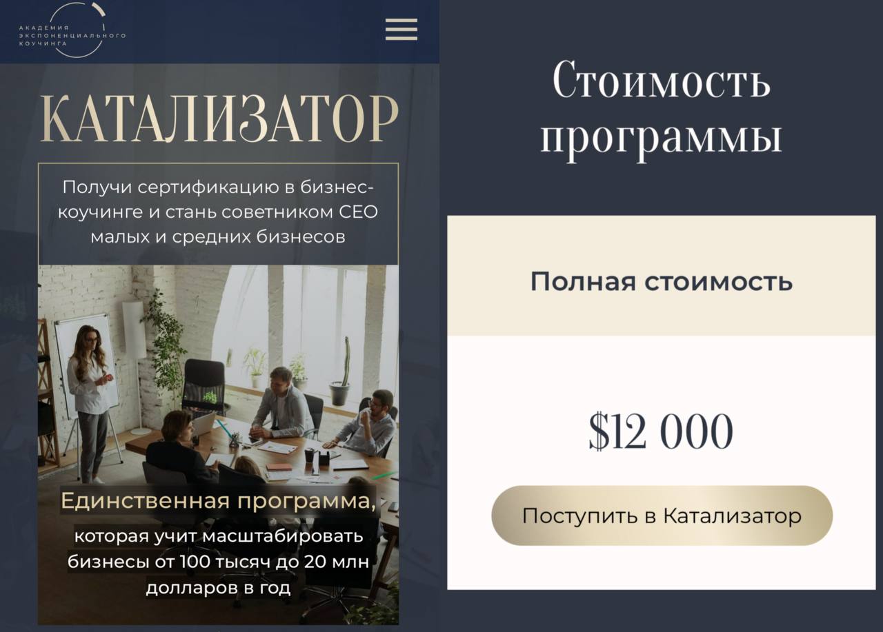 Обложка курса «Катализатор. 6 поток (Михаил Саидов, Елена Долинская)»