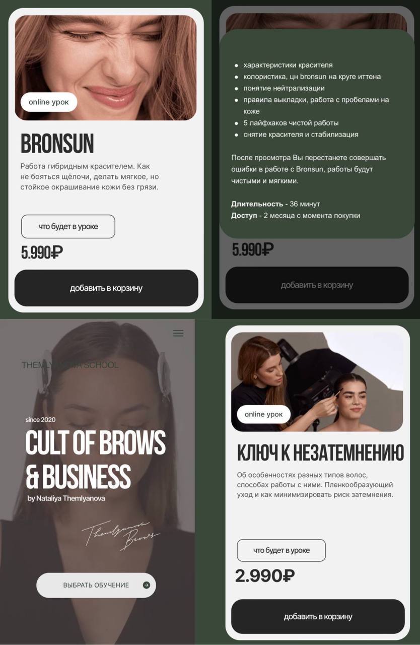 Обложка курса «BRONSUN + HULTOFBROWS & BUSINESS (Nataliya Themlyanova)»