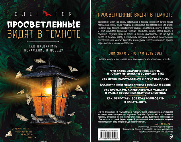 Просветленные видят в темноте. Как превратить поражение в победу (Олег Гор)
