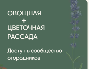Рассада без досады. Овощная + цветочная рассада (Анна Акинина)