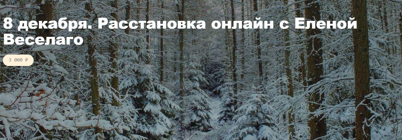 Обложка курса «Расстановка онлайн с Еленой Веселаго. 8 декабря 2021 (Елена Веселаго)»