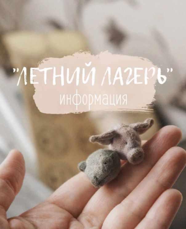 Обложка курса «[Школа Маленьких Зверей] Летний Лагерь (Наталья Суранова)»